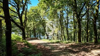 Land for sale in Vieira do Minho, Portugal — €240,000