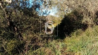 Land for sale in Silves, Portugal — €49,000