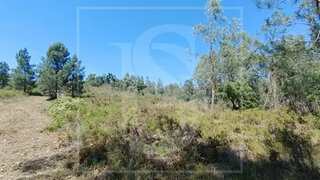 Land for sale in Vila Nova da Barquinha, Portugal — €55,000