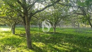 Land for sale in Tomar, Portugal — €60,000