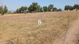 Land for sale in Torres Novas, Portugal — €60,000