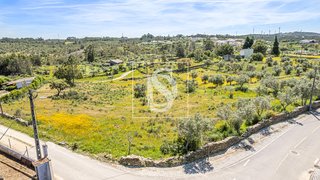 Terreno de 4280 m² em Castelo Branco