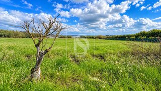 Land for sale in Palmela, Portugal — €167,700