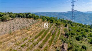 Land for sale in Peso da Régua, Portugal — €55,000