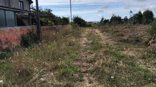 Land for sale in Albergaria-a-Velha, Portugal — €65,000