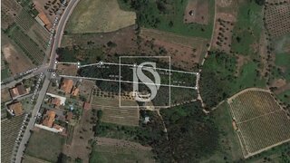 Land for sale in Anadia, Portugal — €58,000