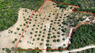 Land for sale in Tomar, Portugal — €21,000