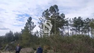 Terreno em Sernancelhe