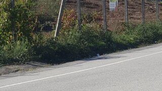 Land for sale in Paços de Ferreira, Portugal — €1,100,000