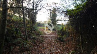 Terreno em Mondim de Basto