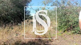 Land for sale in Loulé, Portugal — €15,000