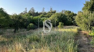 Land for sale in Tondela, Portugal — €27,500