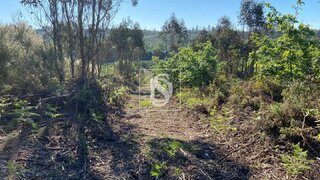Land for sale in Tondela, Portugal — €130,000