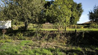 Land for sale in Carregal do Sal, Portugal — €27,000