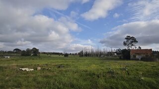 Land for sale in Montemor-o-Velho, Portugal — €39,900