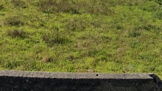 Terreno de 771 m² em Viana do Castelo