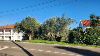 Land for sale in Torres Novas, Portugal — €35,000