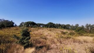 Land for sale in Tomar, Portugal — €25,000