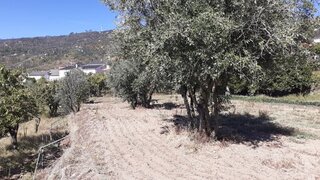Terreno de 1045 m² em Guarda