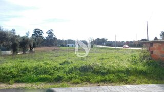 Land for sale in Anadia, Portugal — €65,000