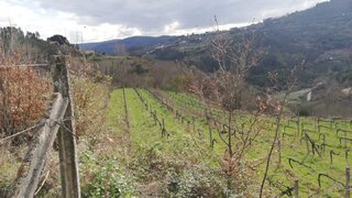 Land for sale in Cinfães, Portugal — €62,500
