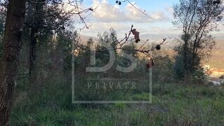 Land for sale in Oliveira de Azeméis, Portugal — €60,000