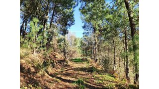 Land for sale in Baião, Portugal — €77,500
