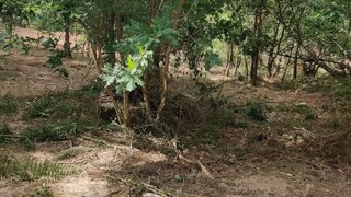 Land for sale in Penafiel, Portugal — €99,000