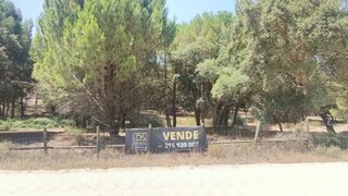 Land for sale in Benavente, Portugal — €285,000