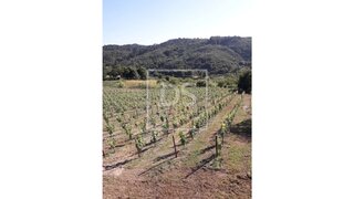 Land for sale in Baião, Portugal — €92,500