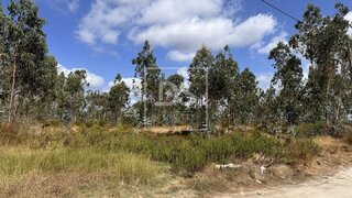 Terreno de 18 450 m² em Leiria