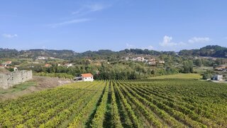 Land for sale in Amarante, Portugal — €43,000