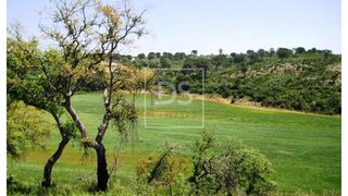Land for sale in Tomar, Portugal — €14,300,000