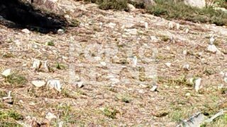 Land for sale in Paredes, Portugal — €42,500