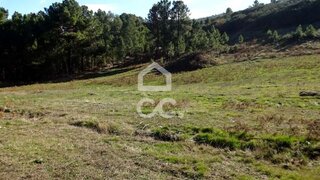 Land for sale in Mangualde, Portugal — €25,000