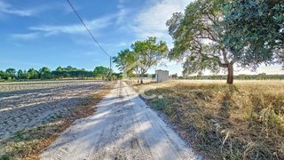 Land for sale in Coruche, Portugal — €320,000