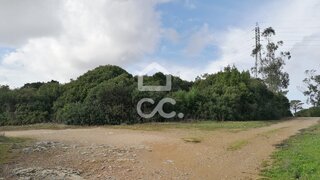 Terreno em Óbidos