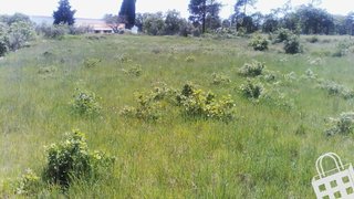 Land for sale in Alcobaça, Portugal — €55,000