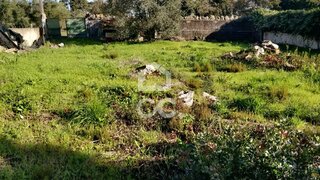 Land for sale in Alcobaça, Portugal — €30,000