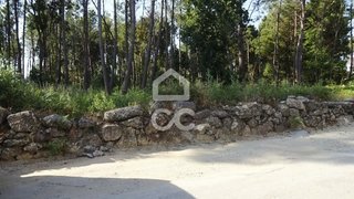 Terreno de 14 000 m² em Viseu