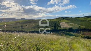 Terreno · 3640 m² · 9980 €