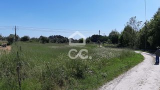 Terreno em Nelas