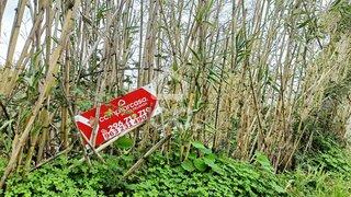 Land for sale in Vila Franca do Campo, Portugal — €74,950