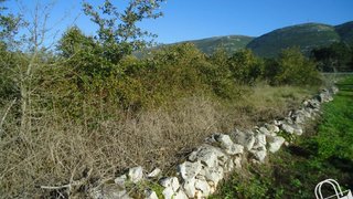 Land for sale in Alcobaça, Portugal — €70,000