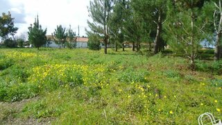 Land for sale in Alcobaça, Portugal — €42,500