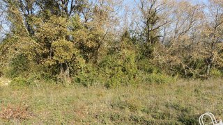 Land for sale in Alcobaça, Portugal — €87,000