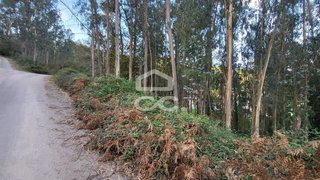 Land for sale in Vila Nova de Famalicão, Portugal — €56,500