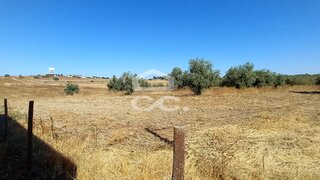 Terreno de 29 250 m² em Beja