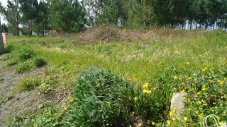 Land for sale in Alcobaça, Portugal
