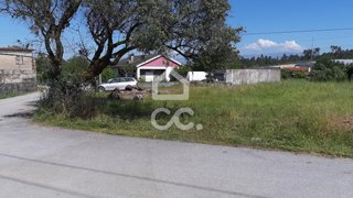 Terreno em Nelas